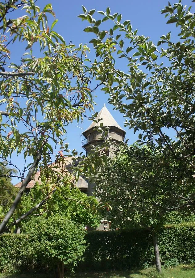 Chateau Du Vigny - Gite Villa Saint-Michel-de-Maurienne